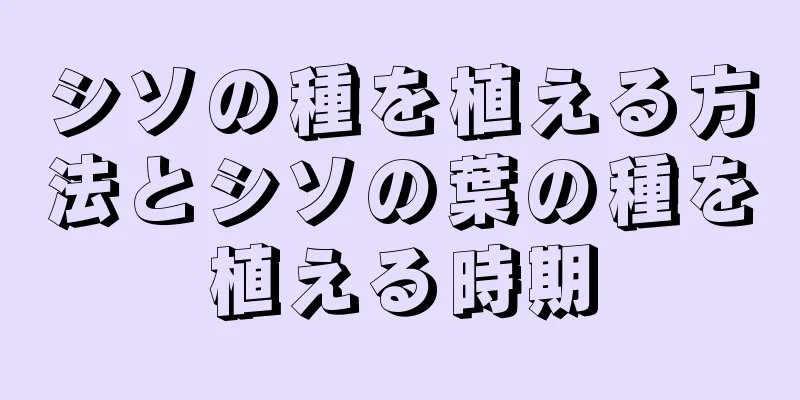 シソの種を植える方法とシソの葉の種を植える時期