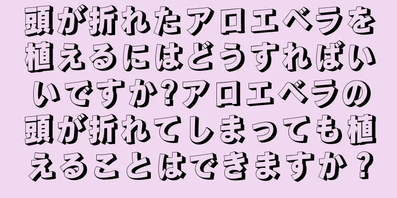 頭が折れたアロエベラを植えるにはどうすればいいですか?アロエベラの頭が折れてしまっても植えることはできますか？