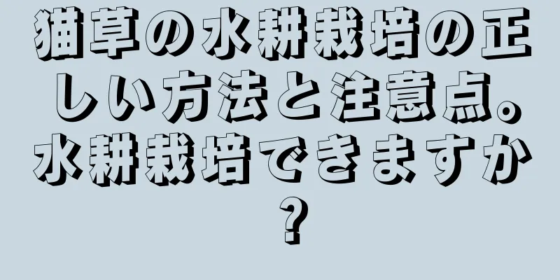 猫草の水耕栽培の正しい方法と注意点。水耕栽培できますか？