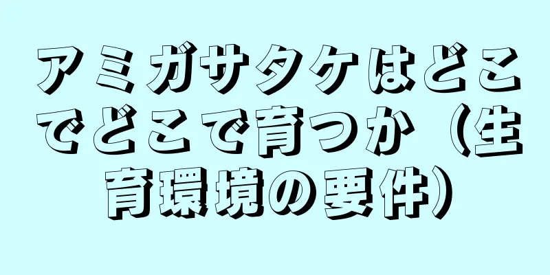 アミガサタケはどこでどこで育つか（生育環境の要件）