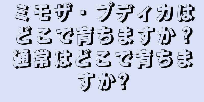 ミモザ・プディカはどこで育ちますか？通常はどこで育ちますか?