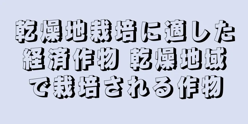 乾燥地栽培に適した経済作物 乾燥地域で栽培される作物