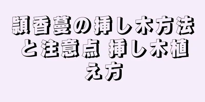 頴香蔓の挿し木方法と注意点 挿し木植え方
