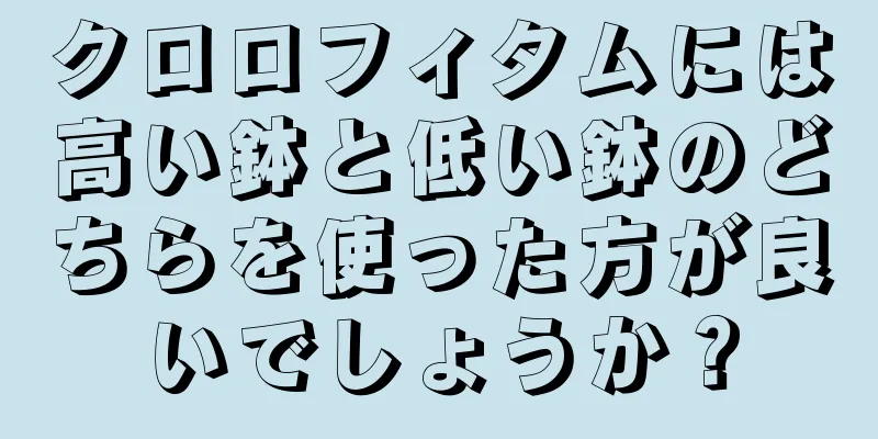 クロロフィタムには高い鉢と低い鉢のどちらを使った方が良いでしょうか？