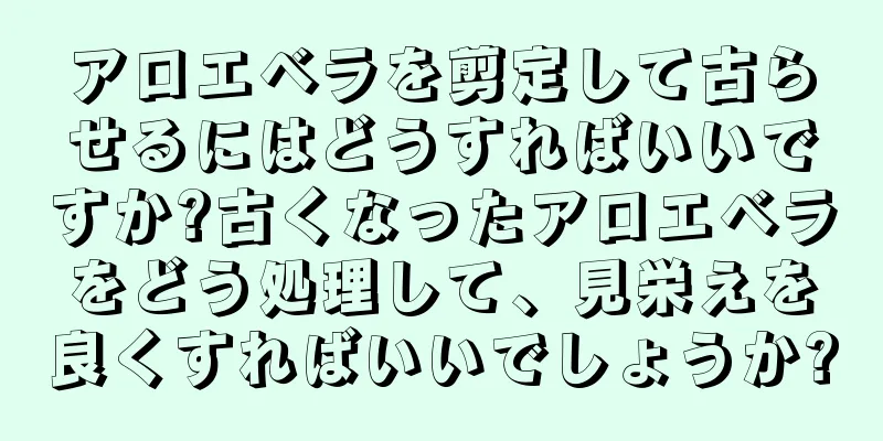 アロエベラを剪定して古らせるにはどうすればいいですか?古くなったアロエベラをどう処理して、見栄えを良くすればいいでしょうか?