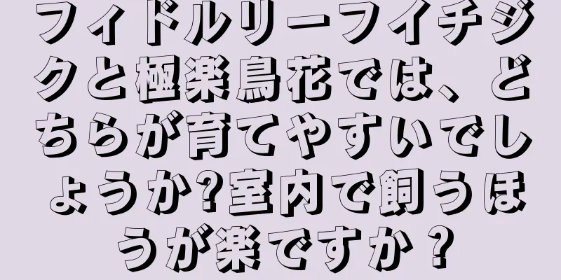 フィドルリーフイチジクと極楽鳥花では、どちらが育てやすいでしょうか?室内で飼うほうが楽ですか？