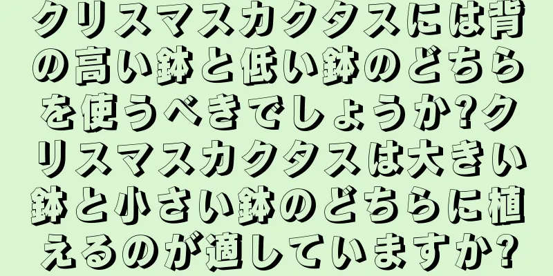 クリスマスカクタスには背の高い鉢と低い鉢のどちらを使うべきでしょうか?クリスマスカクタスは大きい鉢と小さい鉢のどちらに植えるのが適していますか?