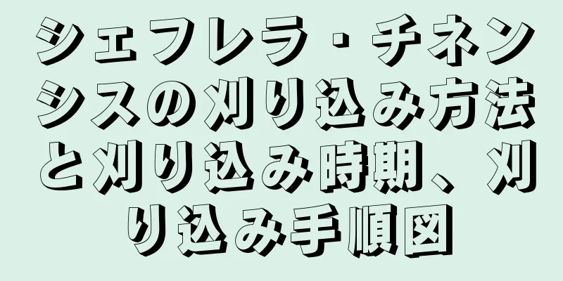 シェフレラ・チネンシスの刈り込み方法と刈り込み時期、刈り込み手順図