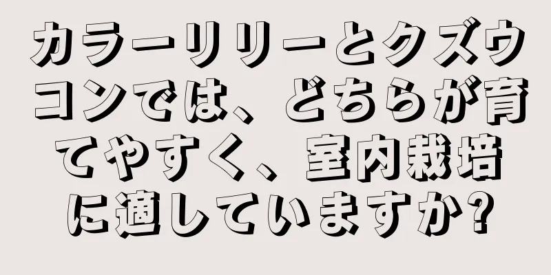 カラーリリーとクズウコンでは、どちらが育てやすく、室内栽培に適していますか?
