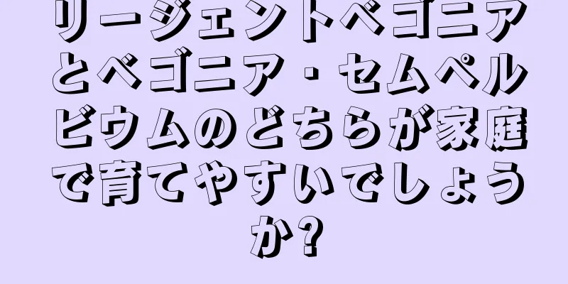 リージェントベゴニアとベゴニア・セムペルビウムのどちらが家庭で育てやすいでしょうか?