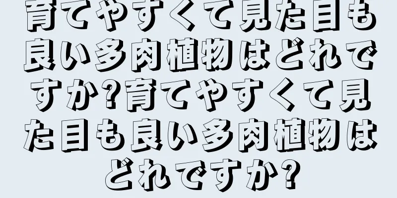 育てやすくて見た目も良い多肉植物はどれですか?育てやすくて見た目も良い多肉植物はどれですか?