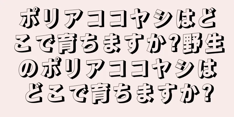 ポリアココヤシはどこで育ちますか?野生のポリアココヤシはどこで育ちますか?