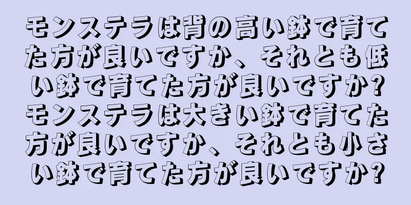 モンステラは背の高い鉢で育てた方が良いですか、それとも低い鉢で育てた方が良いですか?モンステラは大きい鉢で育てた方が良いですか、それとも小さい鉢で育てた方が良いですか?