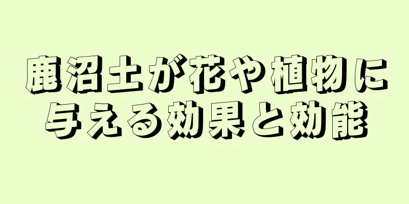 鹿沼土が花や植物に与える効果と効能