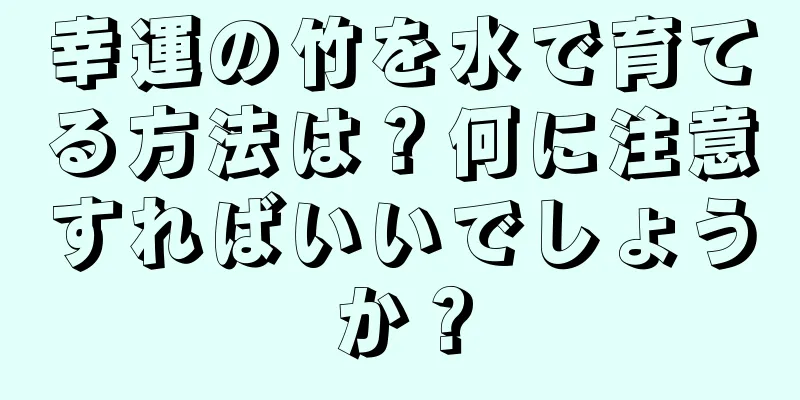 幸運の竹を水で育てる方法は？何に注意すればいいでしょうか？