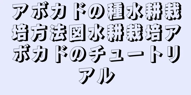 アボカドの種水耕栽培方法図水耕栽培アボカドのチュートリアル