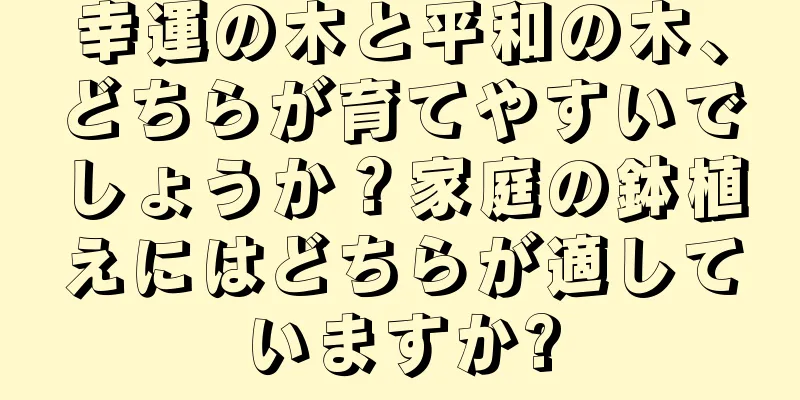幸運の木と平和の木、どちらが育てやすいでしょうか？家庭の鉢植えにはどちらが適していますか?