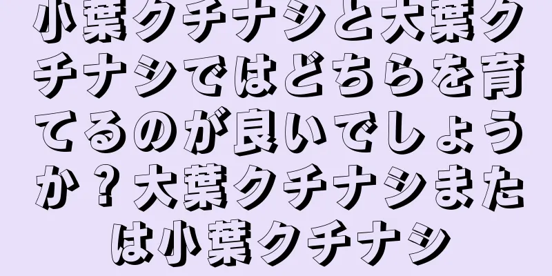小葉クチナシと大葉クチナシではどちらを育てるのが良いでしょうか？大葉クチナシまたは小葉クチナシ