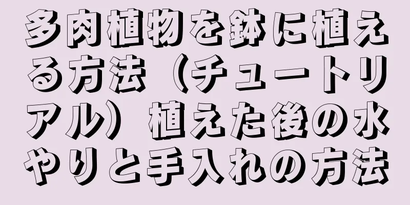 多肉植物を鉢に植える方法（チュートリアル）植えた後の水やりと手入れの方法