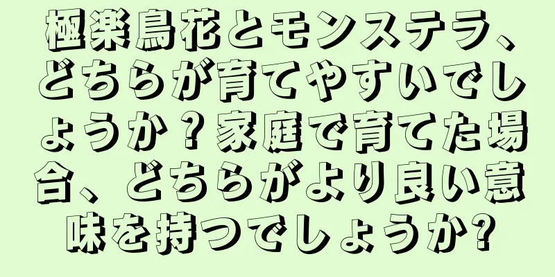 極楽鳥花とモンステラ、どちらが育てやすいでしょうか？家庭で育てた場合、どちらがより良い意味を持つでしょうか?