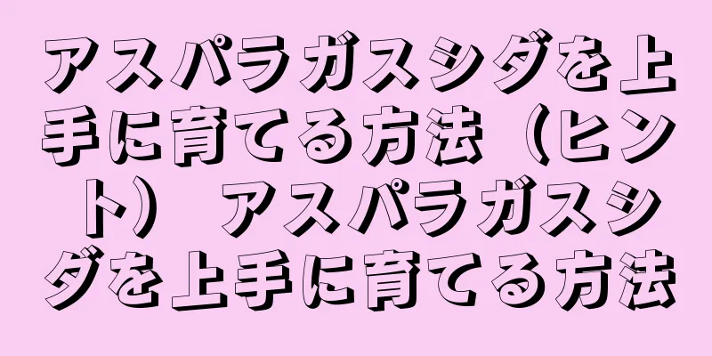 アスパラガスシダを上手に育てる方法（ヒント） アスパラガスシダを上手に育てる方法