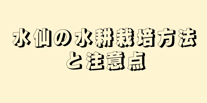 水仙の水耕栽培方法と注意点