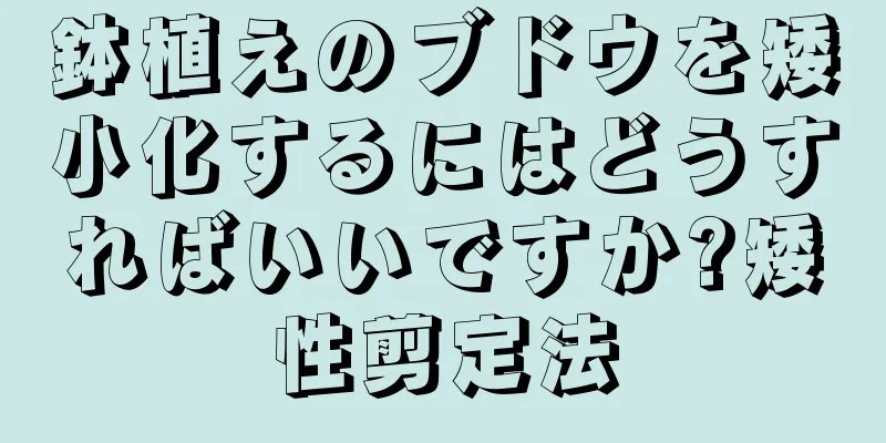 鉢植えのブドウを矮小化するにはどうすればいいですか?矮性剪定法