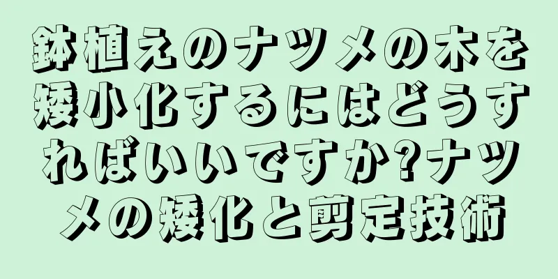 鉢植えのナツメの木を矮小化するにはどうすればいいですか?ナツメの矮化と剪定技術