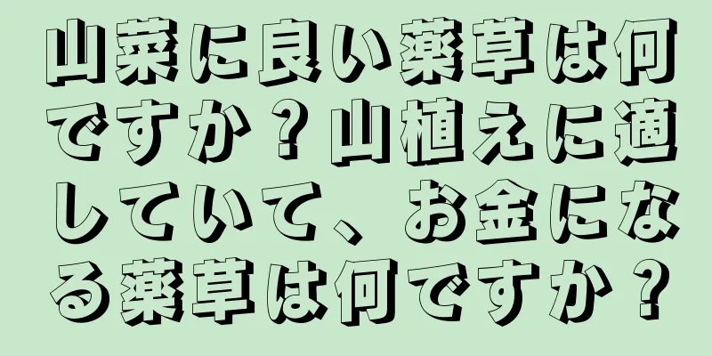 山菜に良い薬草は何ですか？山植えに適していて、お金になる薬草は何ですか？