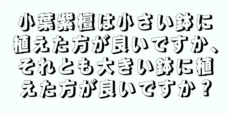 小葉紫檀は小さい鉢に植えた方が良いですか、それとも大きい鉢に植えた方が良いですか？