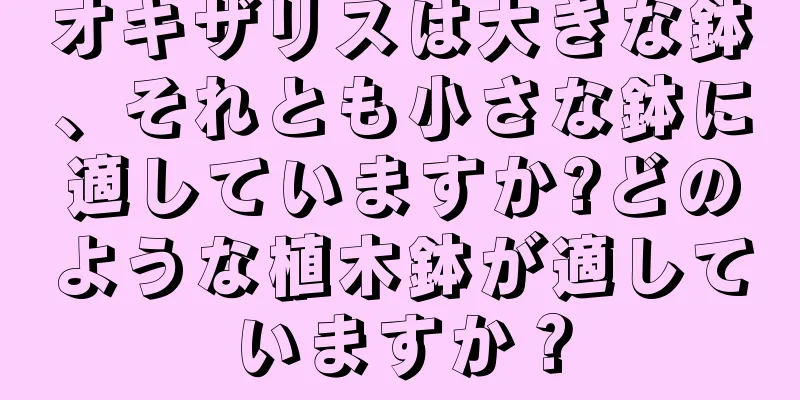 オキザリスは大きな鉢、それとも小さな鉢に適していますか?どのような植木鉢が適していますか？