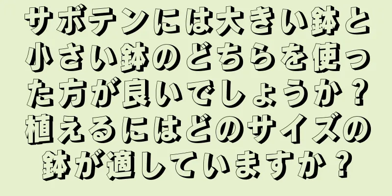 サボテンには大きい鉢と小さい鉢のどちらを使った方が良いでしょうか？植えるにはどのサイズの鉢が適していますか？