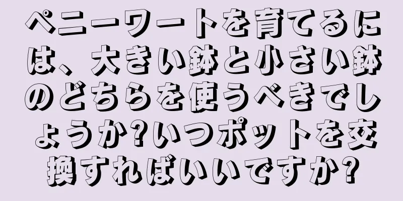 ペニーワートを育てるには、大きい鉢と小さい鉢のどちらを使うべきでしょうか?いつポットを交換すればいいですか?