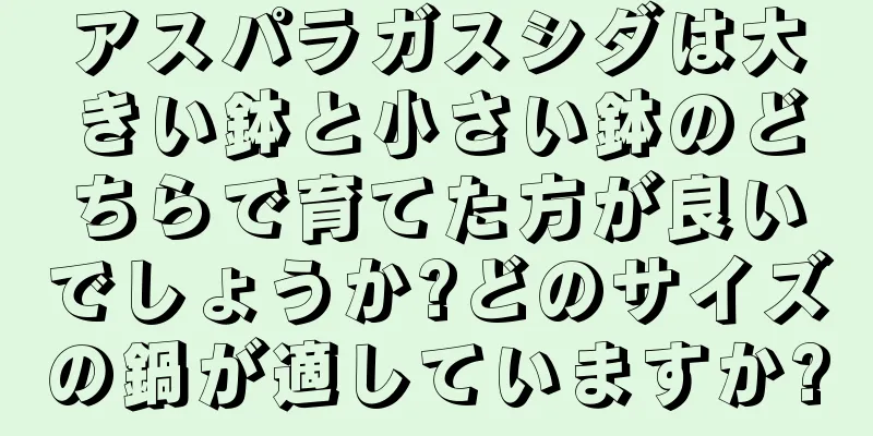 アスパラガスシダは大きい鉢と小さい鉢のどちらで育てた方が良いでしょうか?どのサイズの鍋が適していますか?