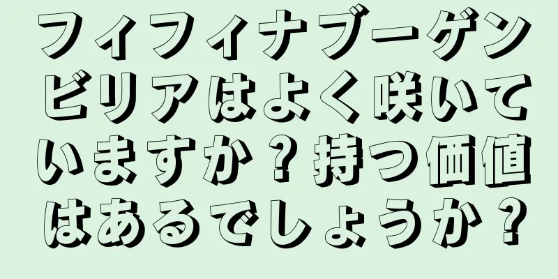 フィフィナブーゲンビリアはよく咲いていますか？持つ価値はあるでしょうか？