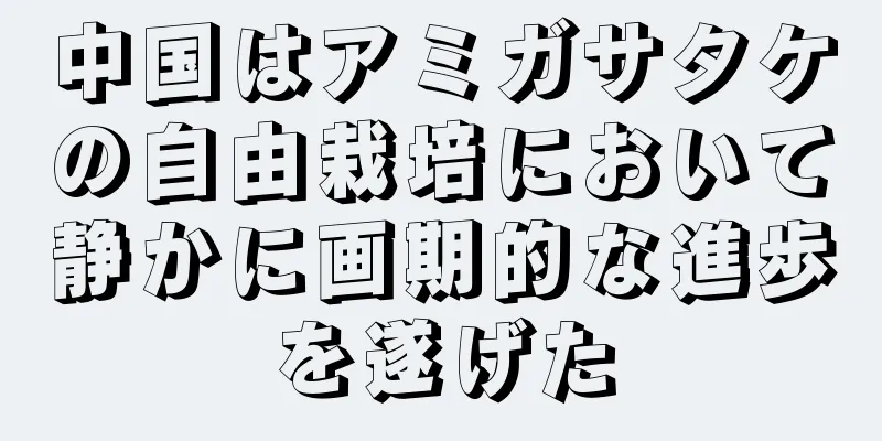 中国はアミガサタケの自由栽培において静かに画期的な進歩を遂げた