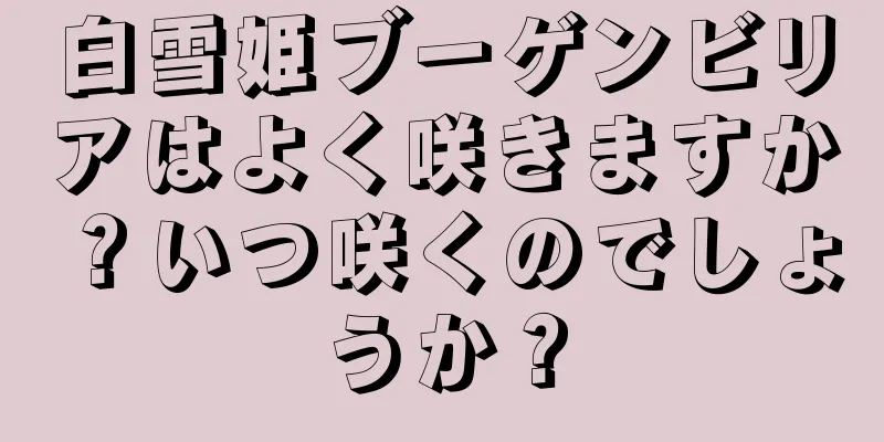 白雪姫ブーゲンビリアはよく咲きますか？いつ咲くのでしょうか？