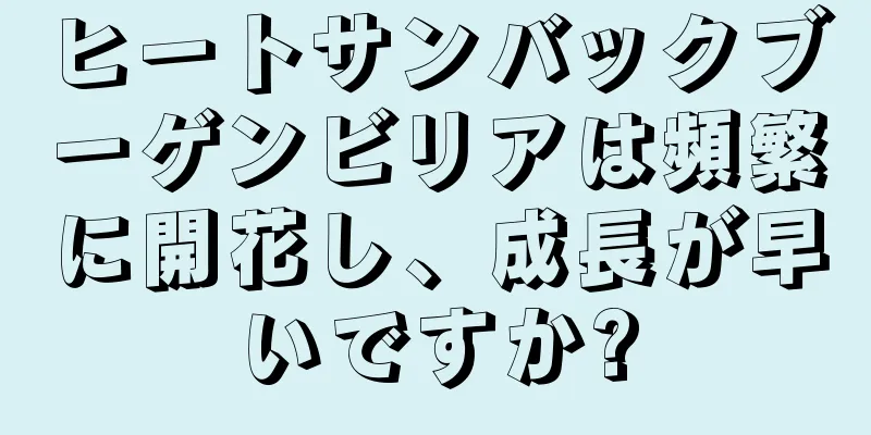 ヒートサンバックブーゲンビリアは頻繁に開花し、成長が早いですか?