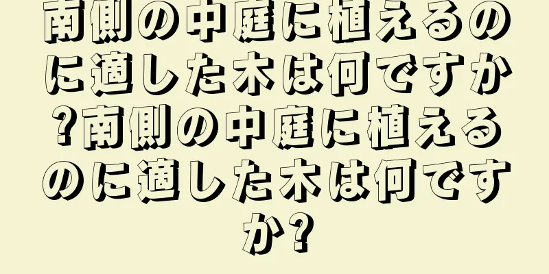 南側の中庭に植えるのに適した木は何ですか?南側の中庭に植えるのに適した木は何ですか?