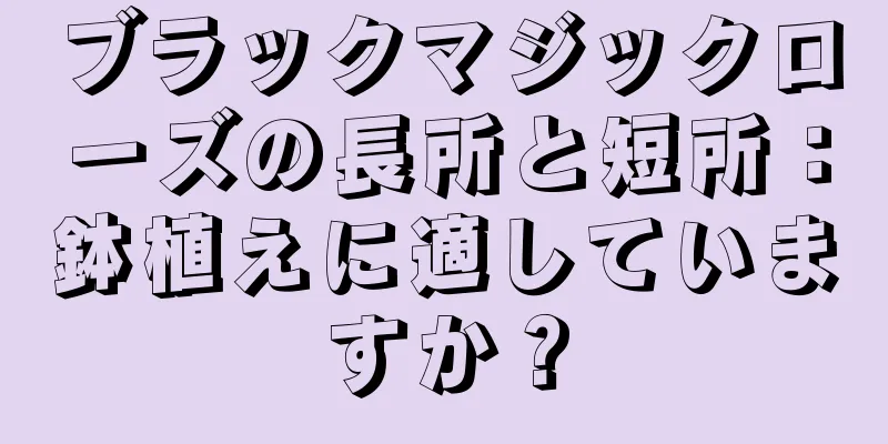 ブラックマジックローズの長所と短所：鉢植えに適していますか？
