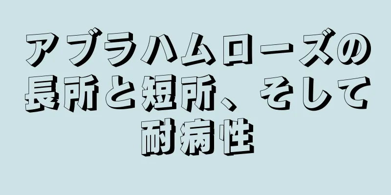 アブラハムローズの長所と短所、そして耐病性