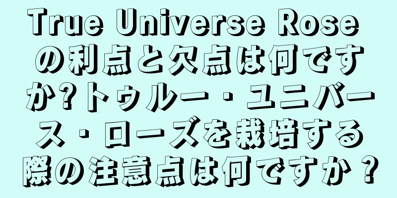 True Universe Rose の利点と欠点は何ですか?トゥルー・ユニバース・ローズを栽培する際の注意点は何ですか？
