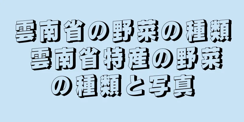雲南省の野菜の種類 雲南省特産の野菜の種類と写真