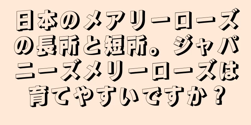 日本のメアリーローズの長所と短所。ジャパニーズメリーローズは育てやすいですか？