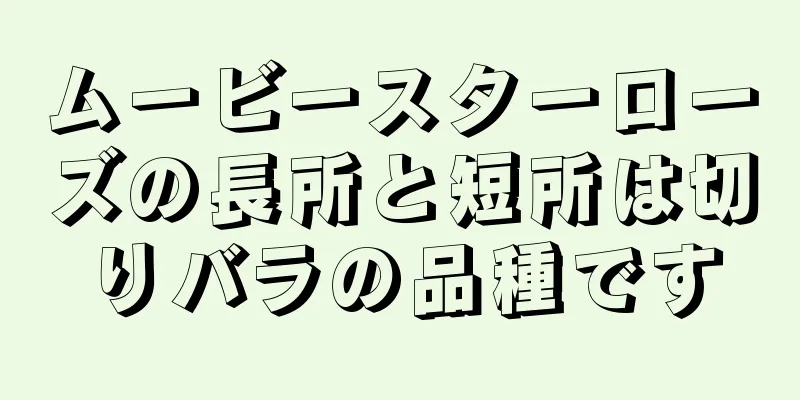 ムービースターローズの長所と短所は切りバラの品種です