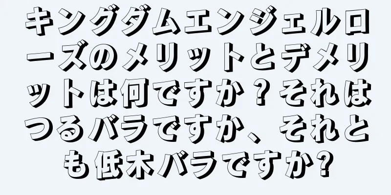 キングダムエンジェルローズのメリットとデメリットは何ですか？それはつるバラですか、それとも低木バラですか?