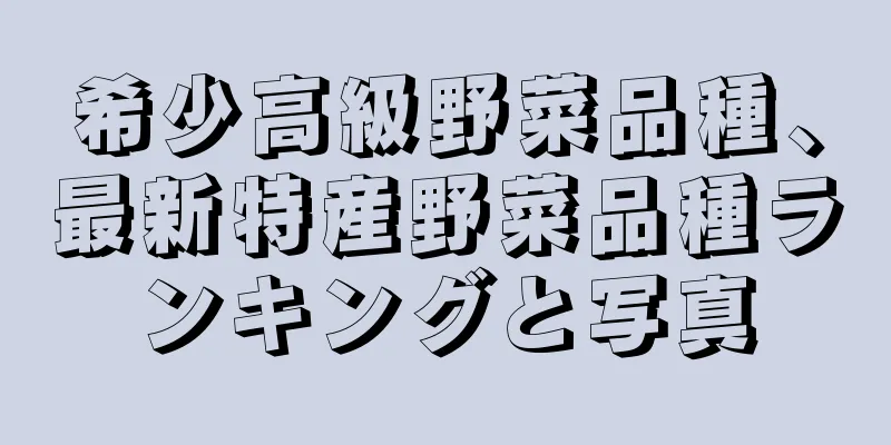 希少高級野菜品種、最新特産野菜品種ランキングと写真