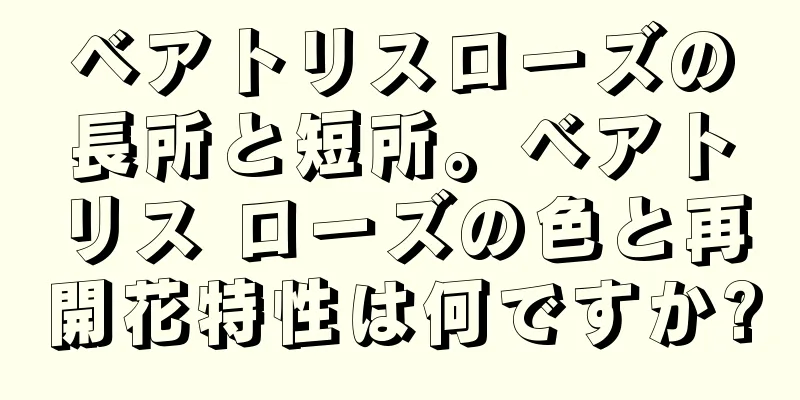 ベアトリスローズの長所と短所。ベアトリス ローズの色と再開花特性は何ですか?