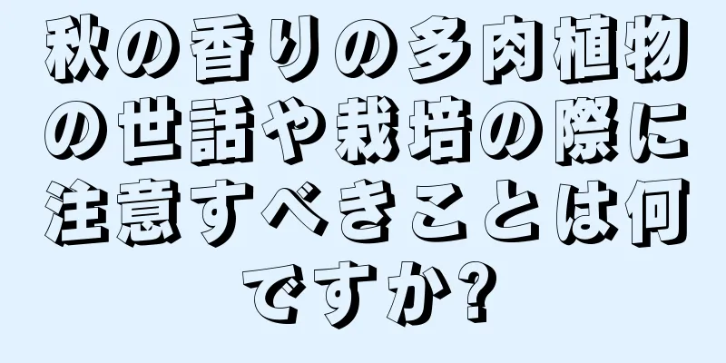 秋の香りの多肉植物の世話や栽培の際に注意すべきことは何ですか?