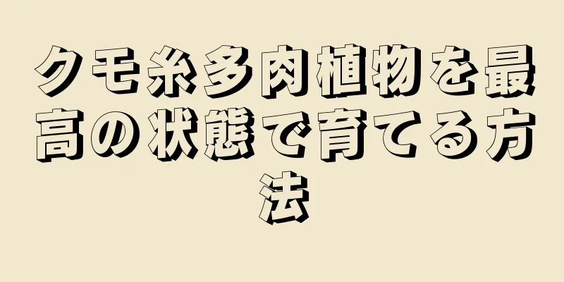 クモ糸多肉植物を最高の状態で育てる方法